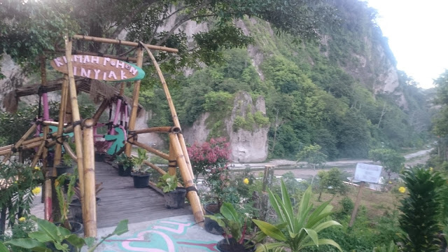 Cottage dan Rumah Pohon Inyiak Potensi Objek Wisata multi fungsi baru di Desa Wisata Ngarai Sianok