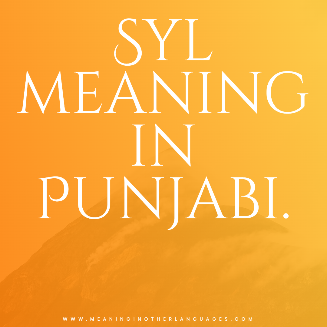 syl meaning in Punjabi