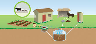 domestic-biogas-plant-construction