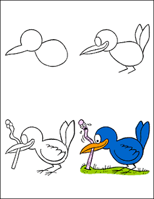 how to draw a bird