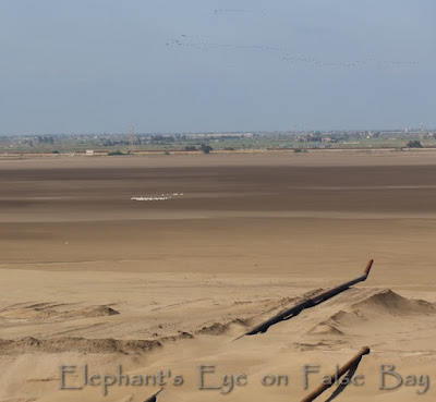 Suez reclaimed mudflats