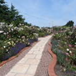 View album