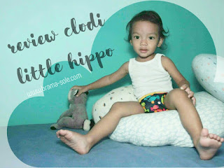 Product Review : Cloth Diaper Little Hippo