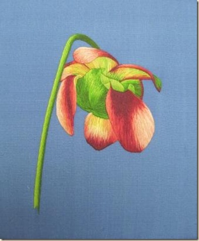 Silk_Shaded_Pitcher_Plant_by_laurelin77
