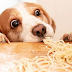 Is Pasta a Dog-Friendly Dish?