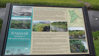 Hamakua Marsh is a RAMSAR wetland - Kailua, Oahu