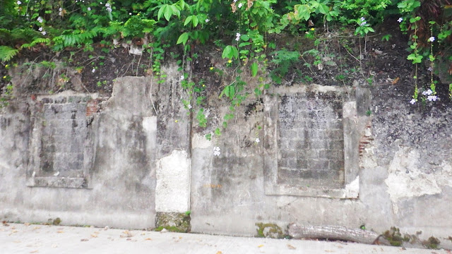 one side of the old thick concrete wall with what might have been originally windows - across the municipal hall at Malitbog, Southern Leyte