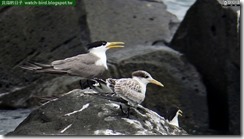 20150818_124322_206_ShiMen