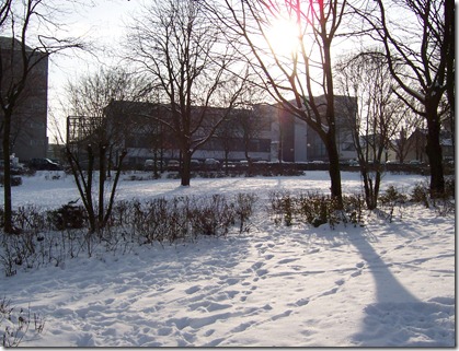 snow_upb_2010