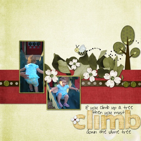 mes_Summerlove_climb