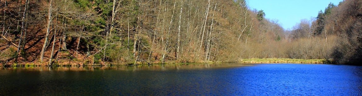 étang du bitscherthal