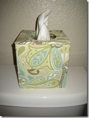 IMG_6725 IMG_6725