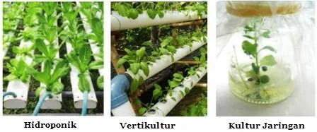 Keuntungan Teknologi Reproduksi pada Tumbuhan dan Hewan