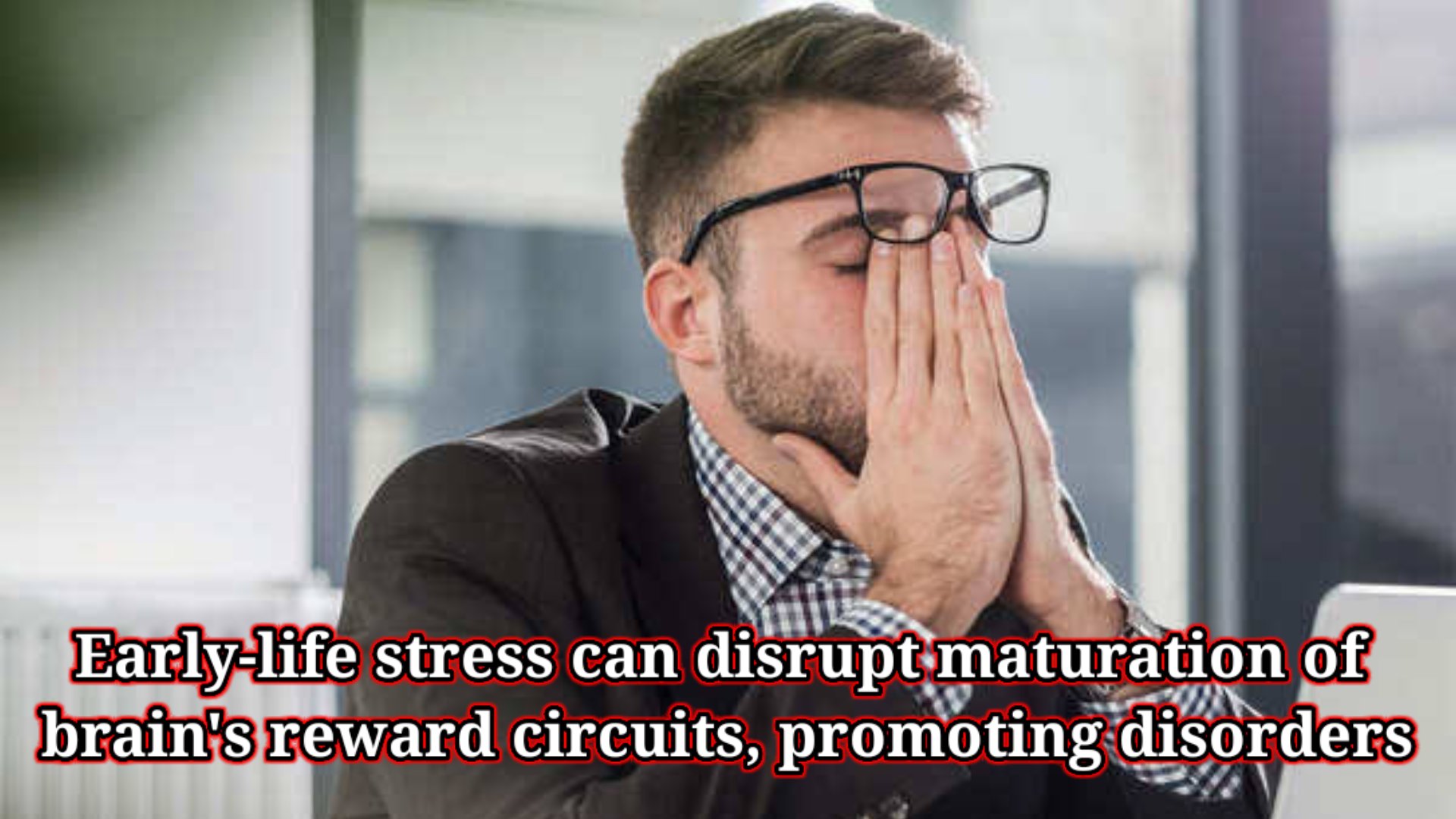 Early-life stress can disrupt maturation of brain's reward circuits, promoting disorders