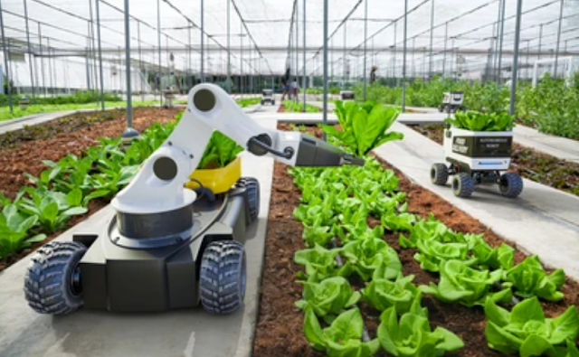 AI in Agriculture Transforming Farming Practices with Smart Solutions