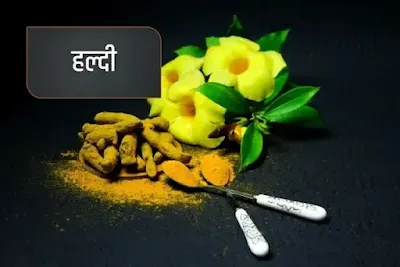 turmeric - ancient indian spice name in hindi