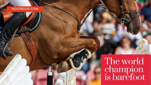 Swedish show jumper Henrik von Eckermann and King Edward barefoot world champions