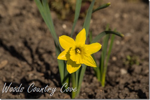 APRIL 2016 (3 of 36)