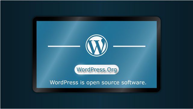 The Wordpress website