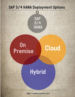 SAP S4 HANA Deployment Options