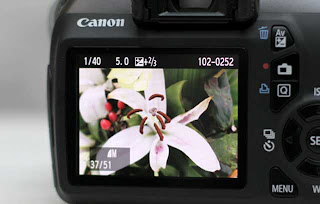 Review Canon EOS 1100D -  Best DSLR camera with cheap price