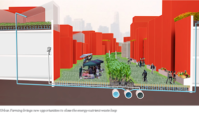 Brooklyn Navy Yard - Energy-Nutrient-Waste Loop