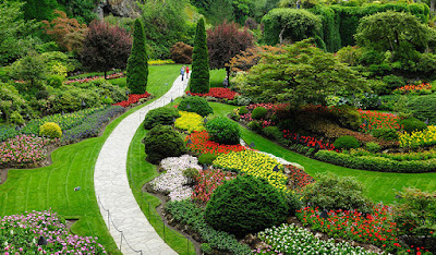 Landscaping Companies in Dubai