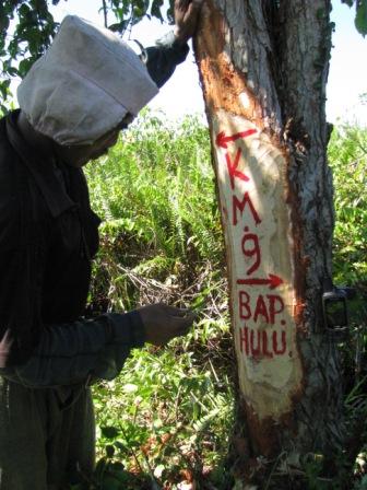 Berita Kotawaringin Timur Dan Katingan Kalimantan Tengah: Juni 2011
