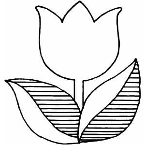 coloriage tulipe