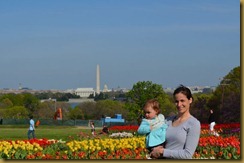 DSC_0560 (800x530)