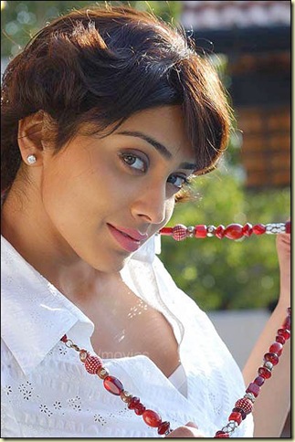 shriya sexy pictures 221109