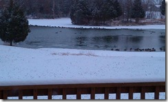 snow day3