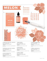 Melon Mania Flyer - page 4