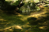 Olšinka/The Olšinka River