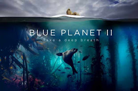 Blue Planet II - Watch online HD Documentary Series