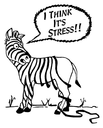 Pictures Of Zebras Cartoon pictures of zebras cartoon. Pictures Of Zebras Cartoon