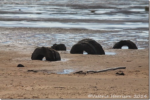 4-Mersehead-beach
