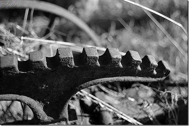 DSC_02670001