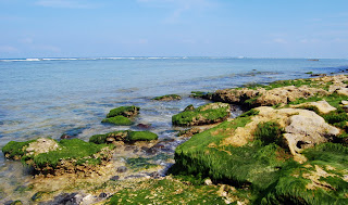  Ly Son Island  in Quang Ngai