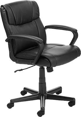 Padded Office Desk Chair with Armrests