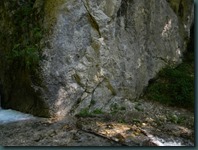 DSCN3229