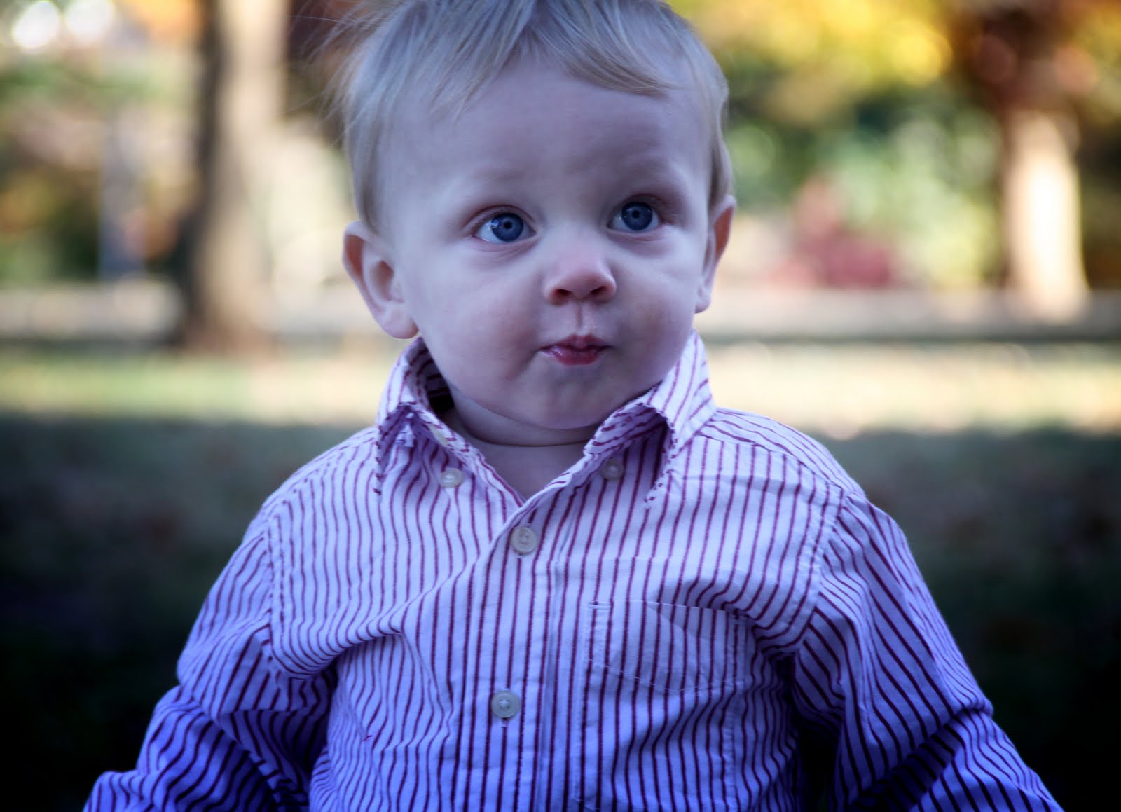 Hudson Parker Roach