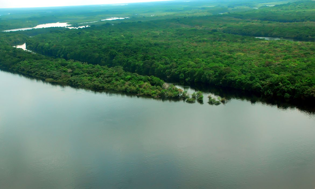 Amazônia