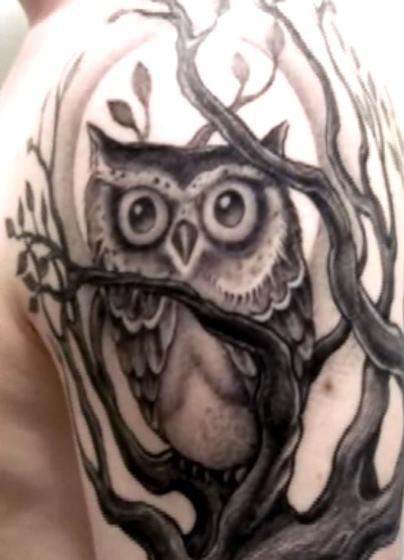 moon owl tattoo markings are rare but I did find some pretty cool Owl Tats