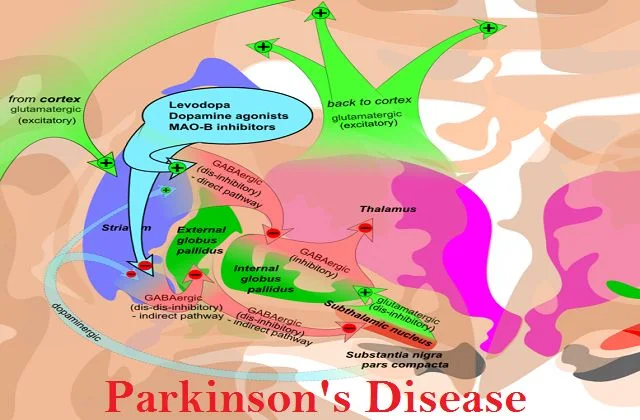 Parkinson's Disease 