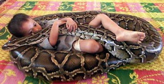 Boy and Snake pictures images pics photos gallery 