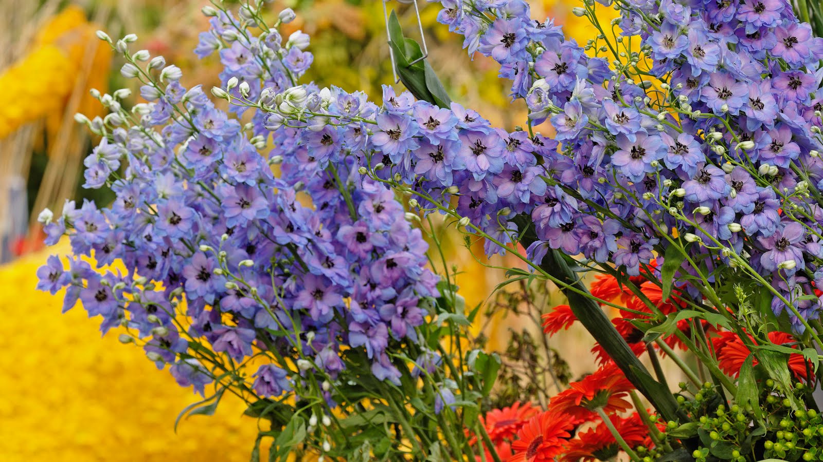 Cómo hacer un jardín de flores: 9 pasos (con fotos) wikiHow