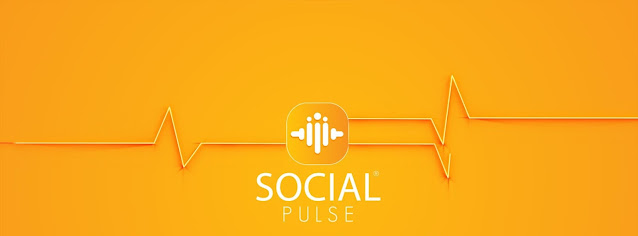 social-pulse-pakistan