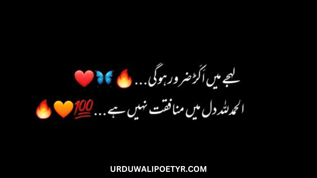 Attitude Urdu poetry In 2 Line whit images | Best Attitude Urdu shayari