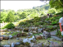 IMG_0430